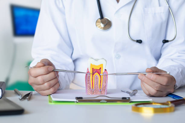 Best Emergency Dentist for Knocked-Out Tooth in Whitewater, CA